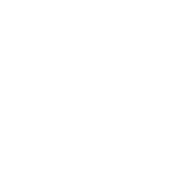 shape_2_2 2
