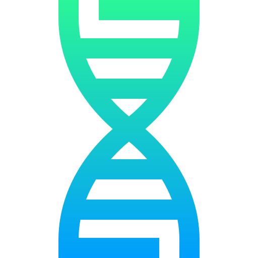 dna structure